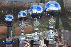 Областной турнир по футболу памяти Г.А. Шумика