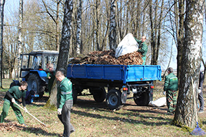 Чтобы родной город стал чище и уютнее