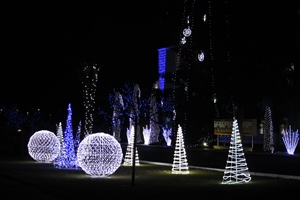 Огни родного завода