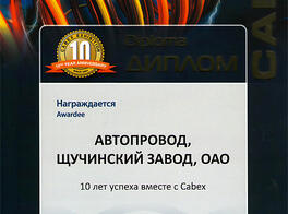 Диплом 10 лет успеха вместе с Cabex