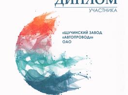 Диплом участника 20-ом Белорусском Энергетическом и Экологическом Форуме